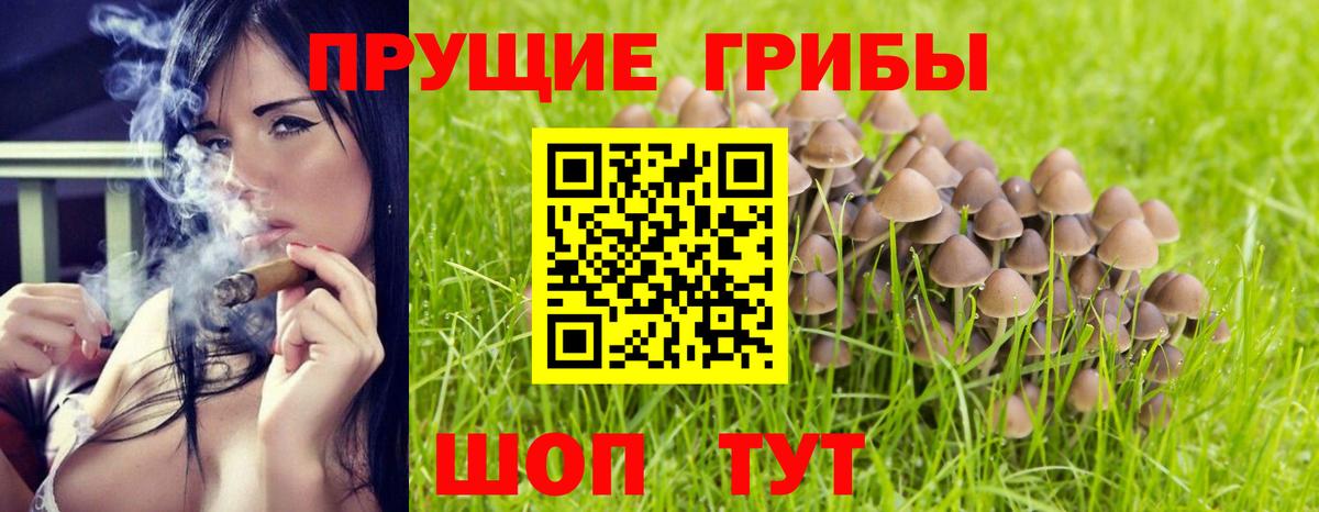 Кстово  Галлюциногенные грибы прущие грибы  Галлюциногенные грибы мухоморы  Вход с VPN 